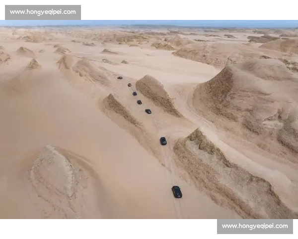 阳光沙海燃动青岛：世界沙排巡回赛演绎肌肉线条与海浪的交响